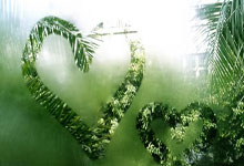 2025CBA全明星周末落幕 精彩之余不忘传承2025-03-03.