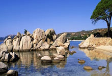 必赢体育:生死战!若国足下轮世预赛不敌印尼,将彻底无缘晋级世界杯.